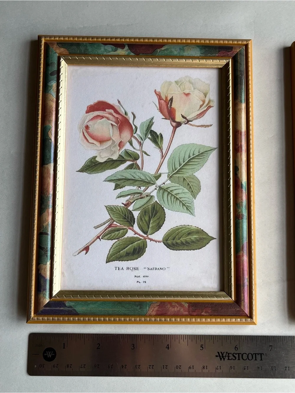 VTG Mixed Matls Burwood w/Goldtone w/Floral Frames w/ Fine Art Prints-Set of 2